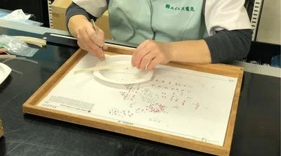木枠のトレーに置いた図面の上に、手で部品を並べている作業の手元